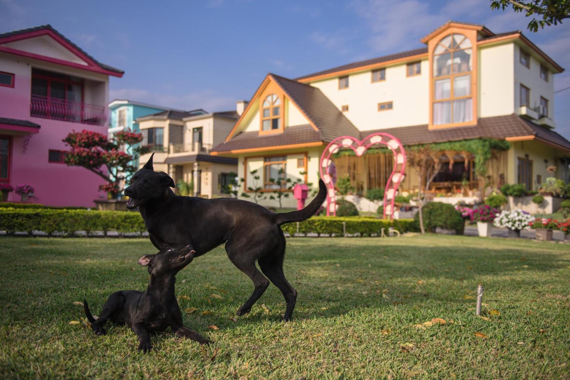 Xinfu Traveler Inn Taiping  Exterior foto