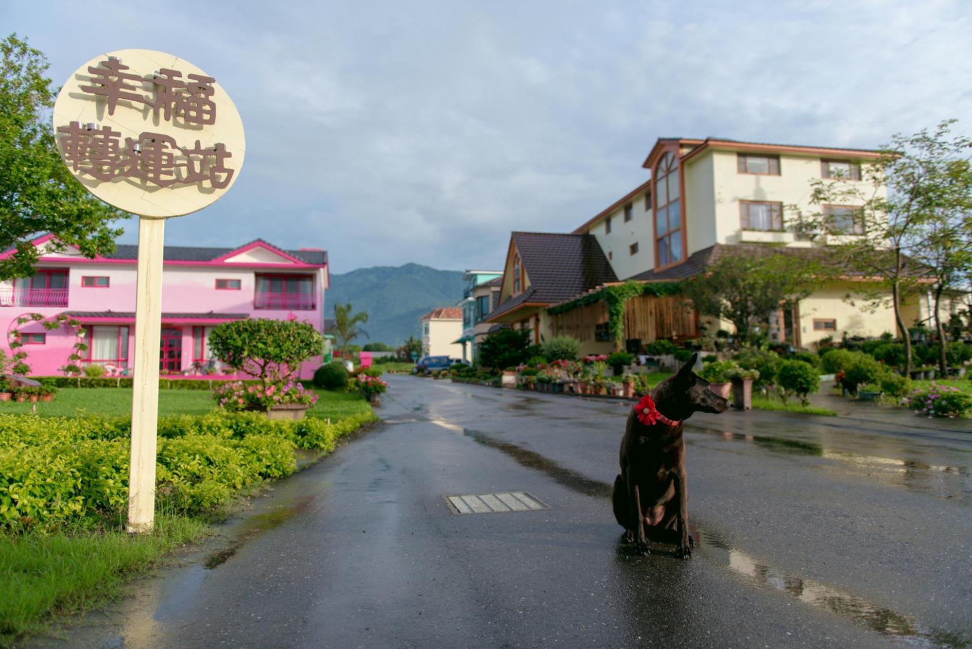 Xinfu Traveler Inn Taiping  Exterior foto