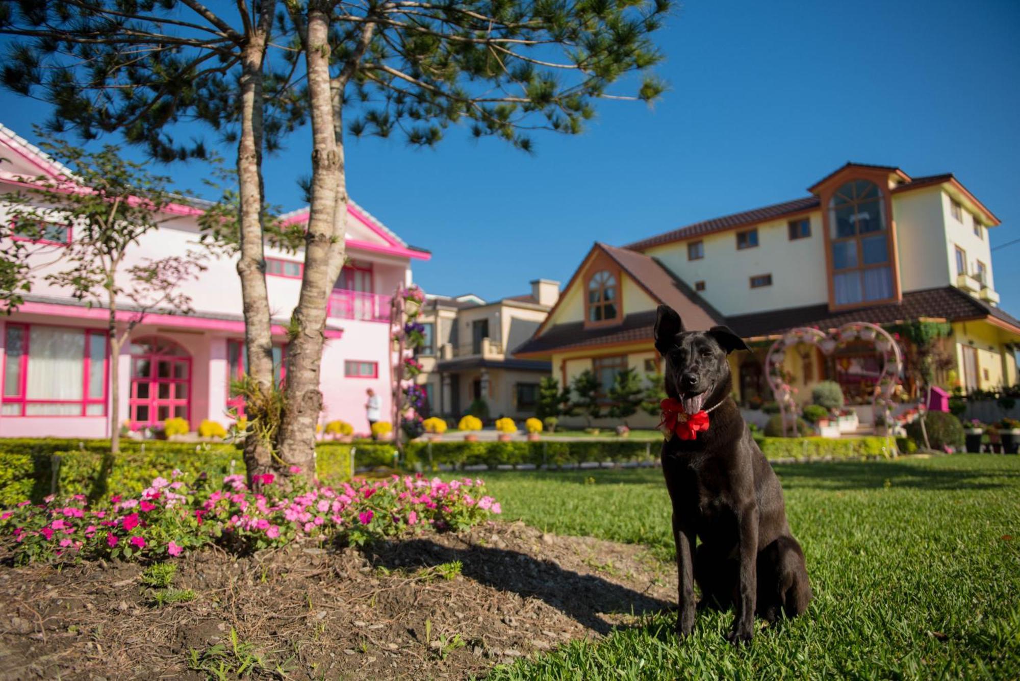 Xinfu Traveler Inn Taiping  Exterior foto